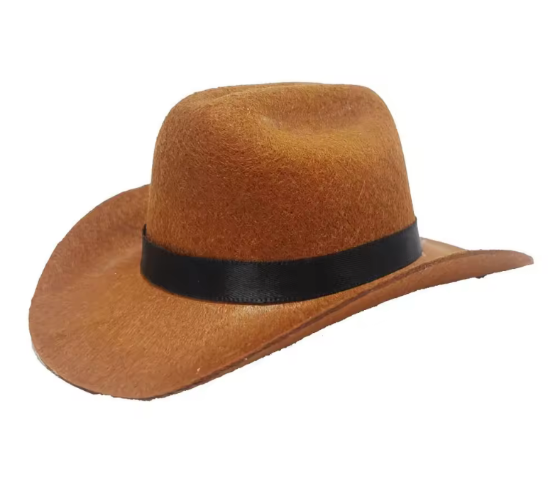 Cat Cowboy Hat