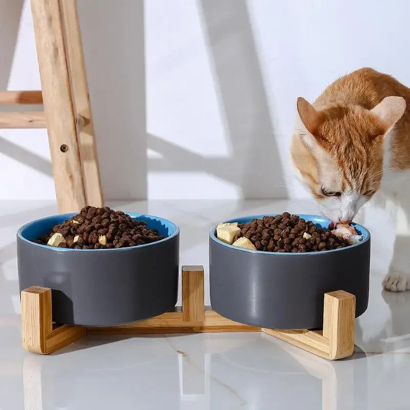 Ceramic Elevated Pet Bowl with Bamboo Stand