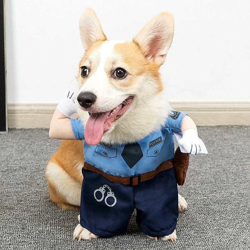 Jumpsuit Costume – Soft Cat & Small Dog