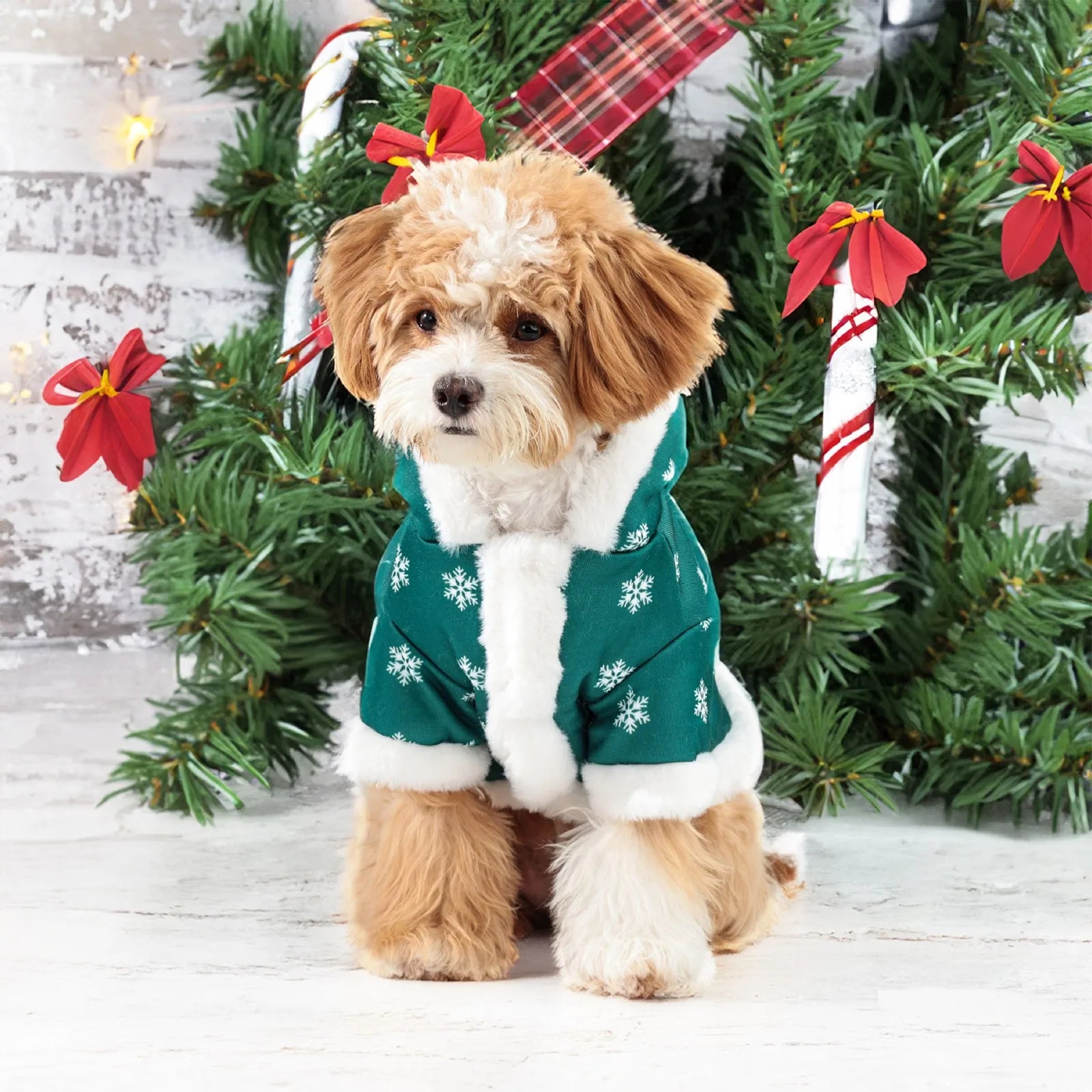 Christmas Hooded Pet Outfit