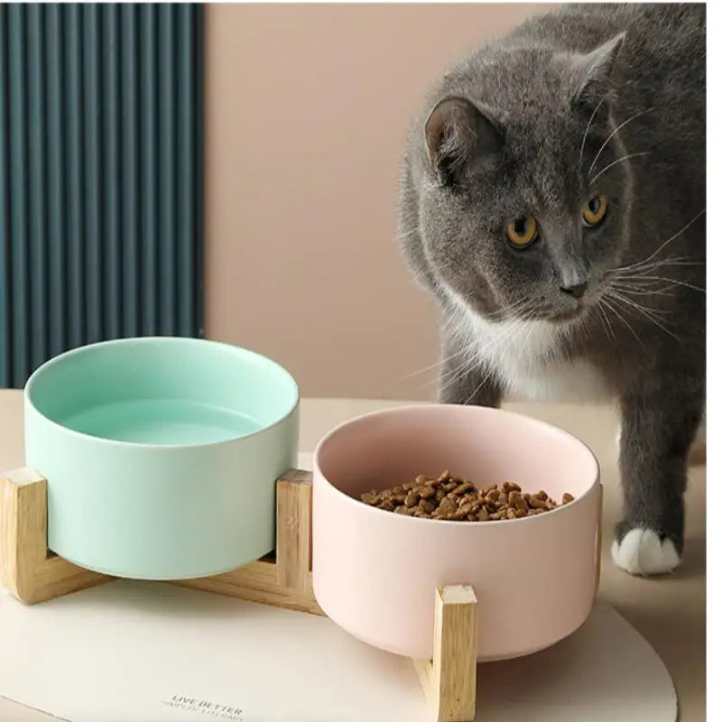 Ceramic Elevated Pet Bowl with Bamboo Stand
